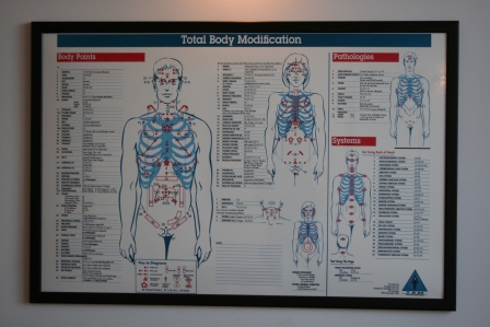Total Body Modification Chart