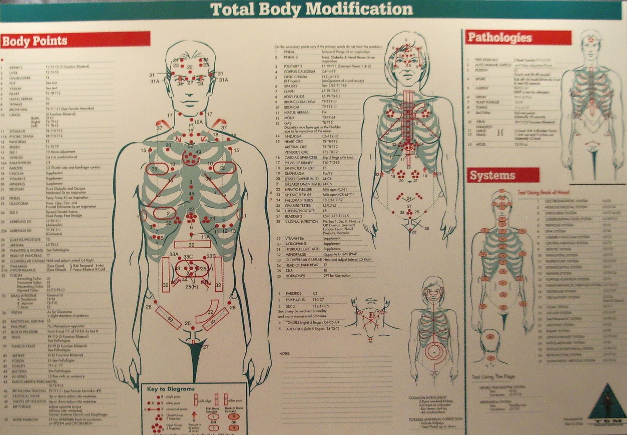 Total Body Modification Chart